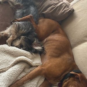 Meet your Posher, Chloe